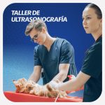 Taller de Ultrasonografía